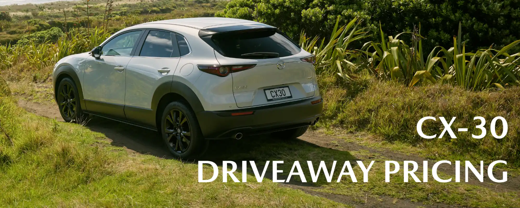 Cx 30 Offer Hp (1)
